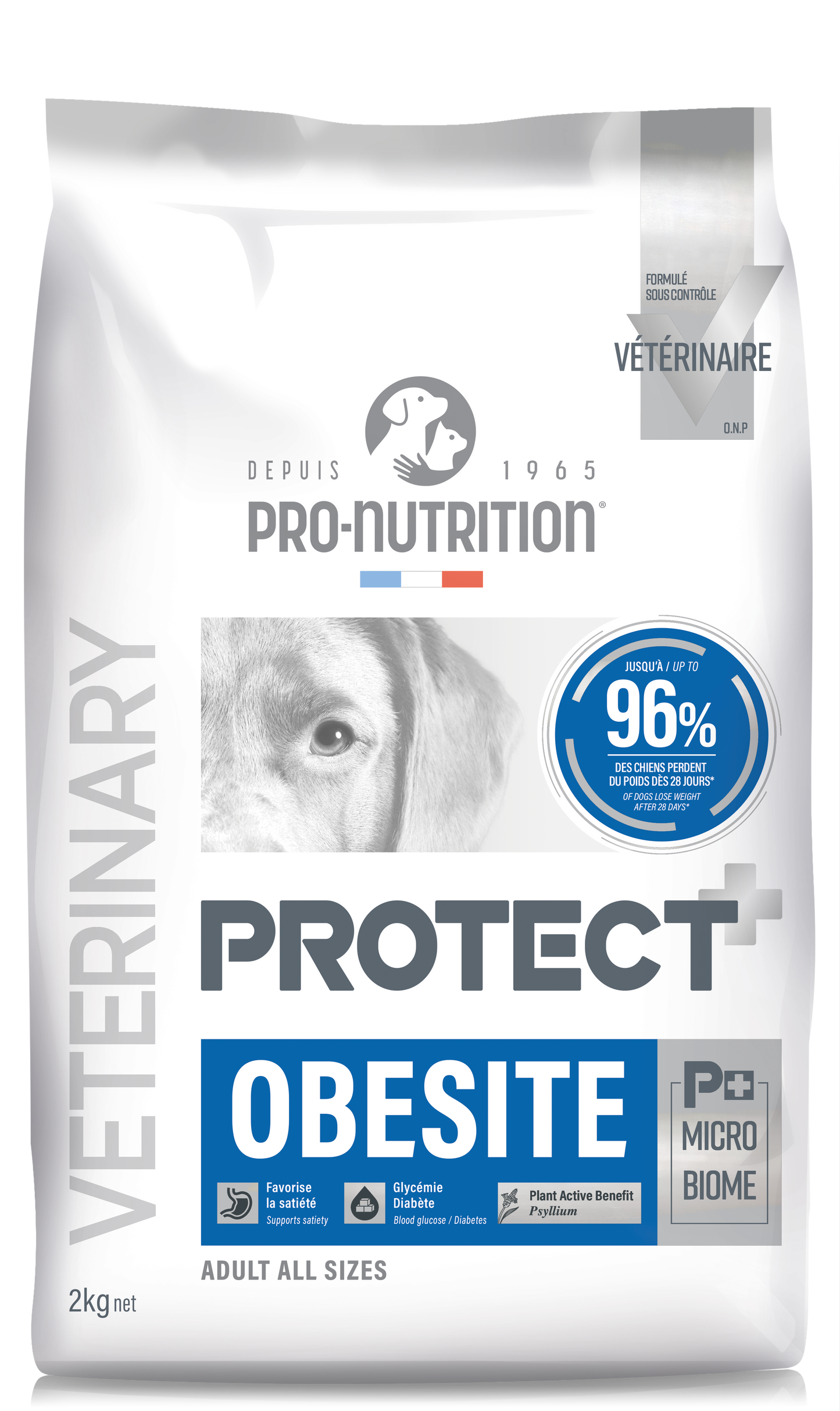 Protect Chien Obésité – Pro Nutrition