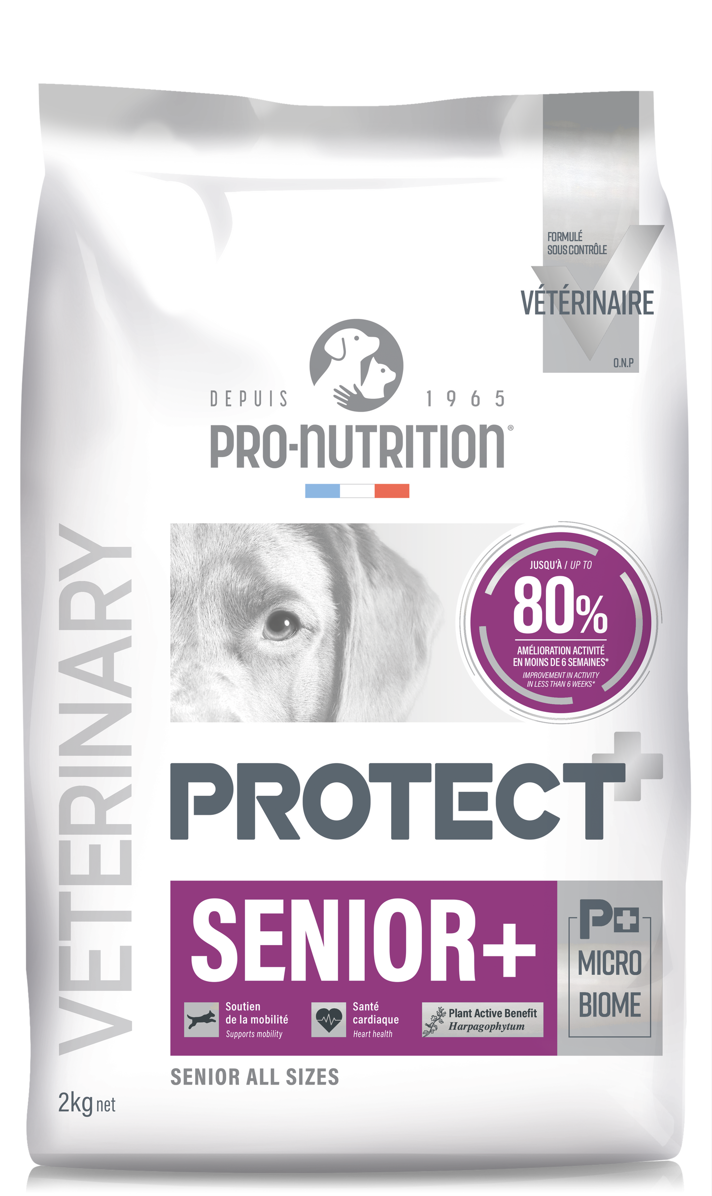 Protect Chien Senior + – Pro Nutrition