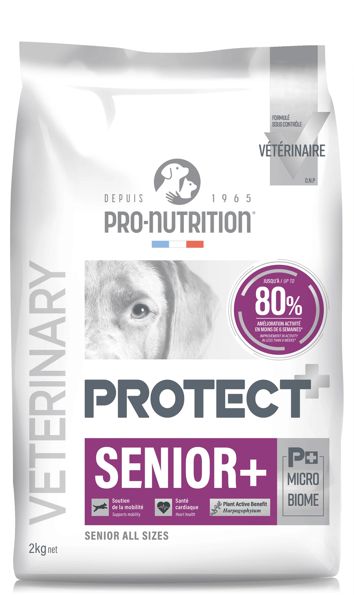 Croquettes Pro Nutrition Protect Chien Senior+ - Chien Âgé - EkiDog
