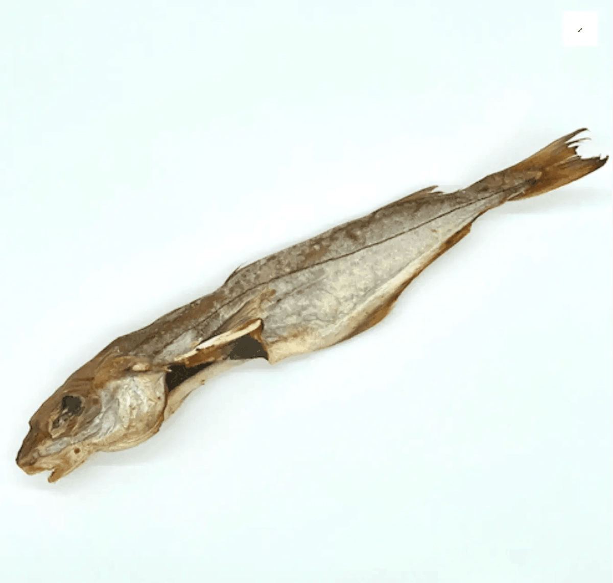Églefin - Friandise naturelle pour chien - EkiDog