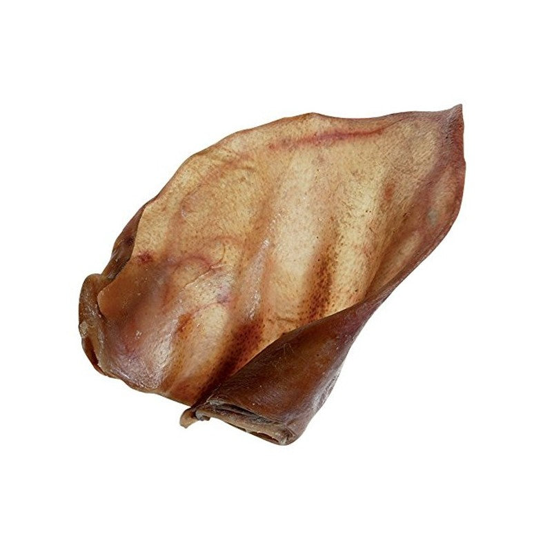 Oreille de porc XXL – Friandise naturelle pour chiens