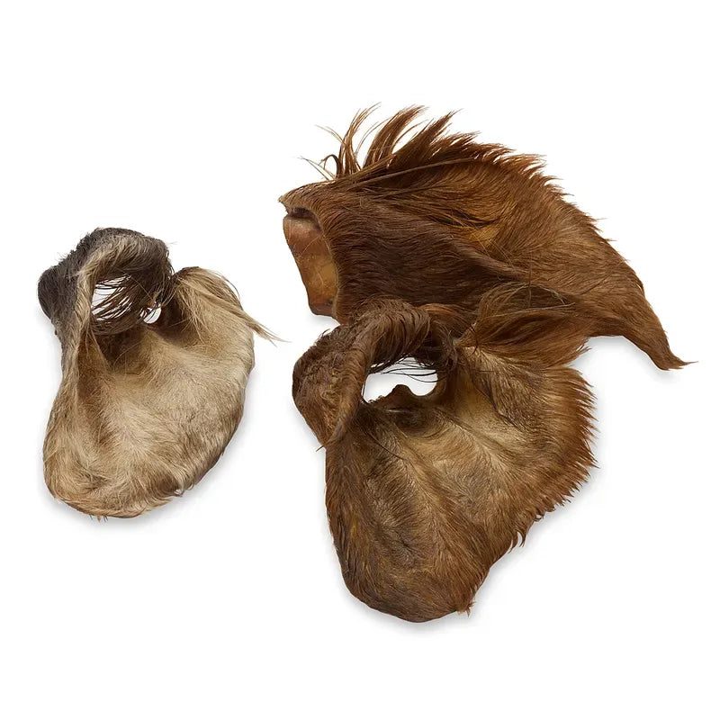 Oreilles de Bœuf Poilues - Lot de 3 - Friandises Naturelles pour Chiens - EkiDog