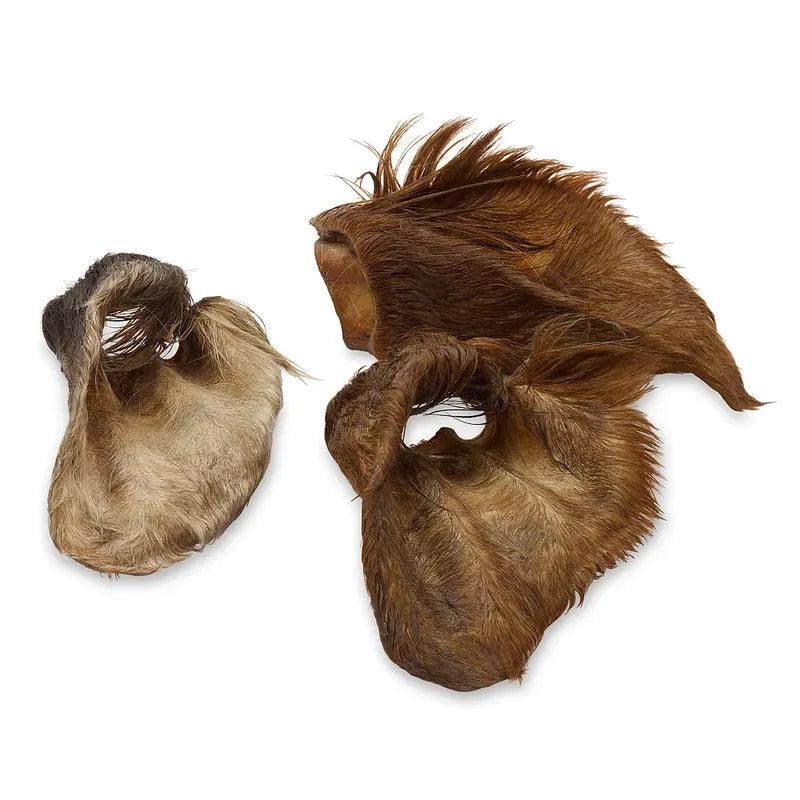 Oreilles de Bœuf Poilues - Lot de 3 - Friandises Naturelles pour Chiens - EkiDog