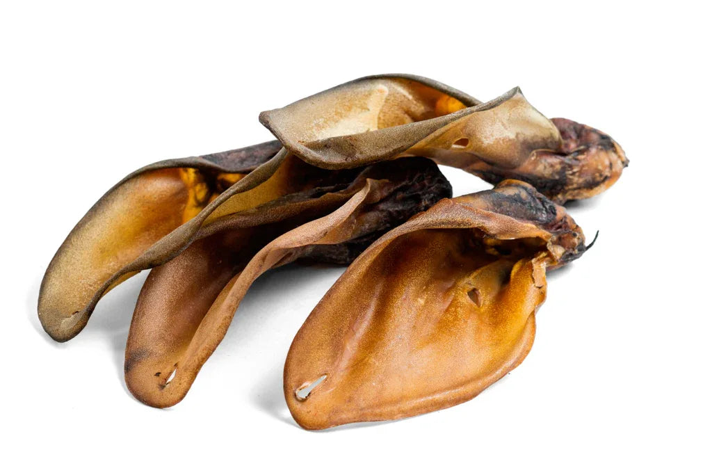 Oreilles de Bœuf - Lot de 5 - Friandises Naturelles pour Chiens - EkiDog