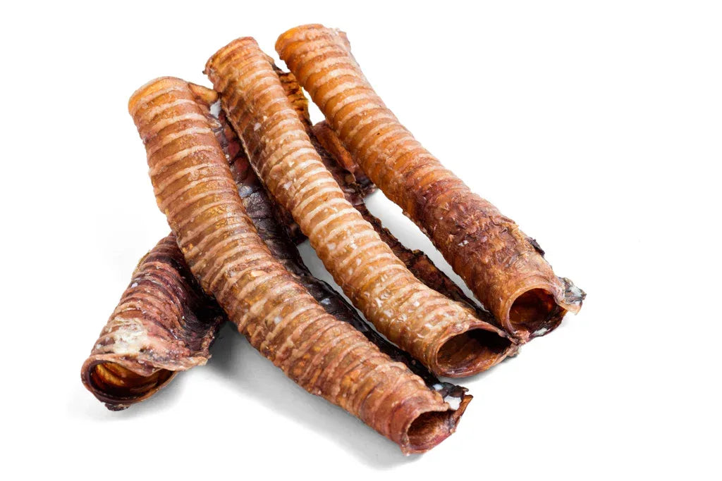 Trachées de Bœuf 30cm - Lot de 2 - Friandises Naturelles pour Chiens - EkiDog