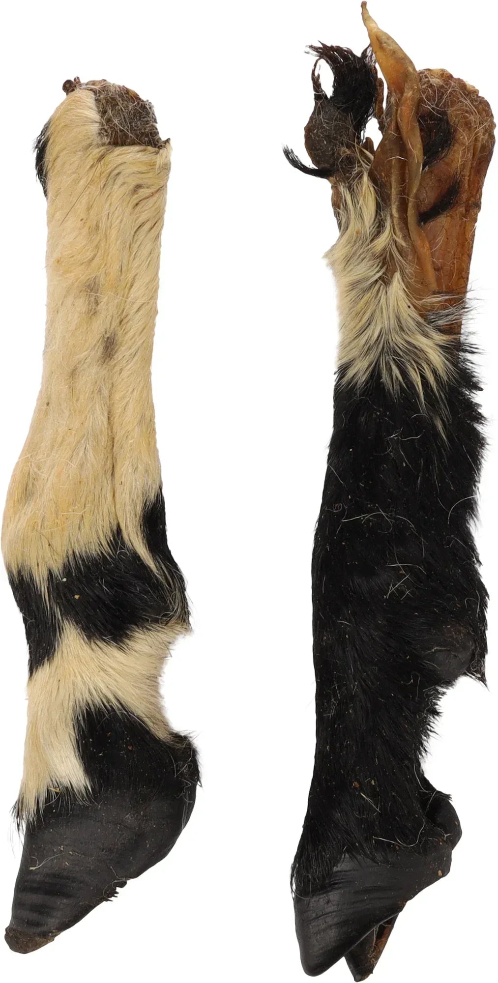 Pied de Mouton Poilu - Friandise Naturelle 100% Chien - EkiDog