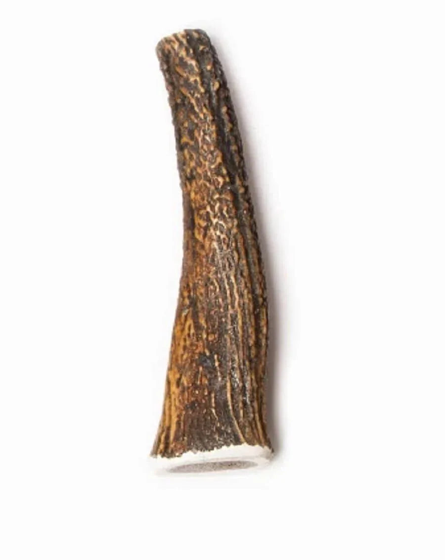 Bois de Cerf Entier - Friandise Naturelle pour Chien - EkiDog
