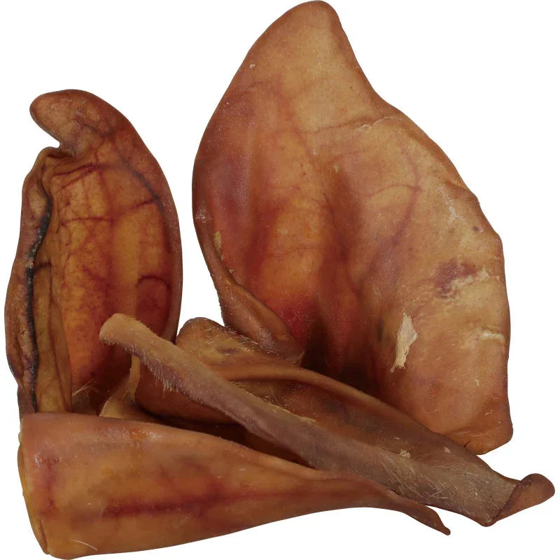 Oreille de Porc M - Friandise Naturelle pour Chien - EkiDog