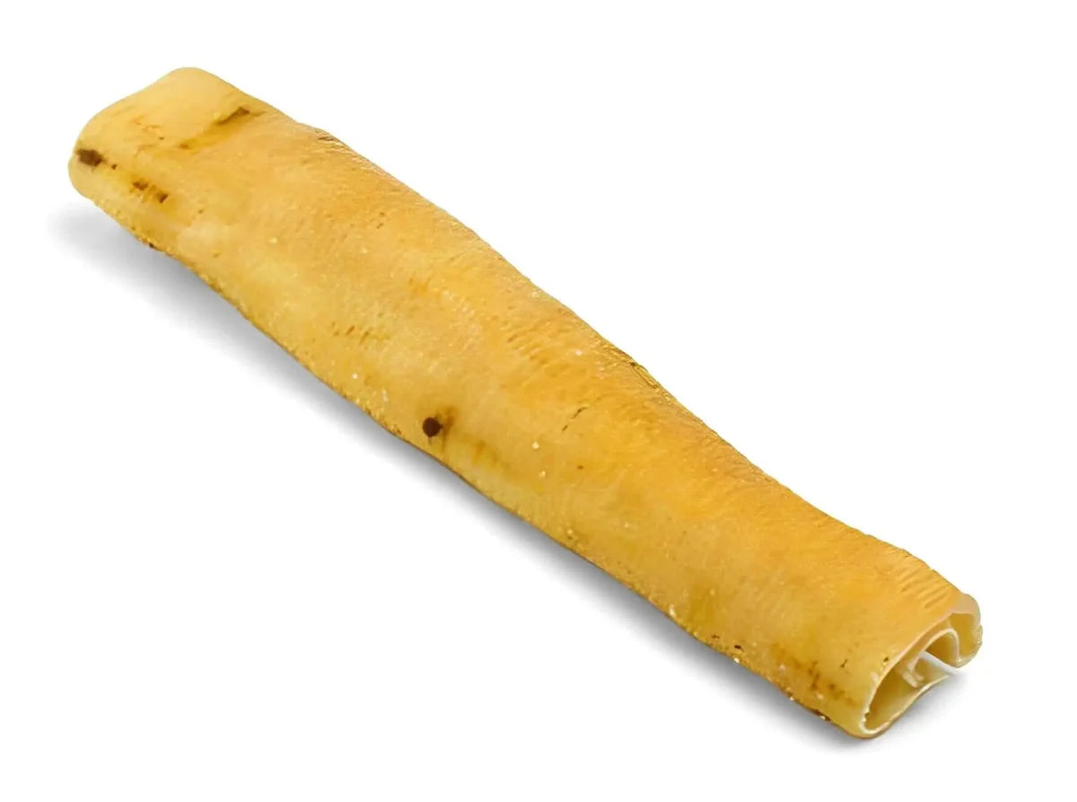Rouleau de Peau de Porc 25cm - Friandise Naturelle Chien (2 pièces)