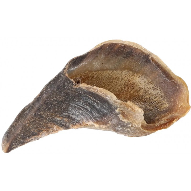 Sabot de bœuf 3 pieces – Friandise naturelle pour chiens