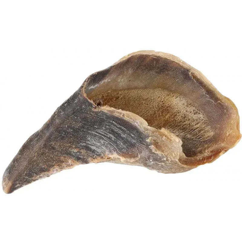 Sabot de Bœuf - Friandise Naturelle Chien (3 pièces) - EkiDog