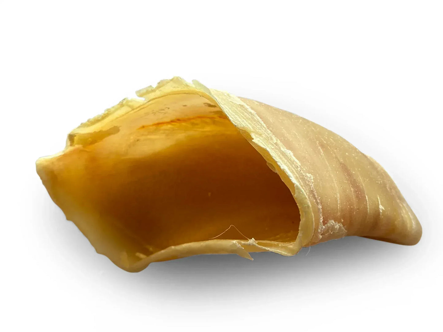 Sabots de Veau - Friandise Naturelle Chien (10 pièces) - EkiDog