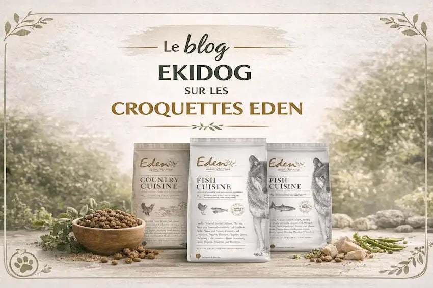 Croquettes Eden 80/20 Sans Céréales : L'Alimentation Naturelle Premium pour Votre Chien