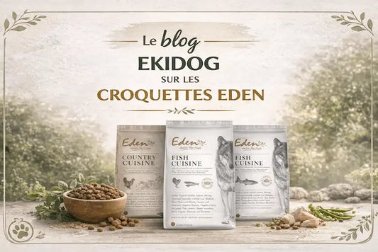 Croquettes Eden 80/20 Sans Céréales : L'Alimentation Naturelle Premium pour Votre Chien