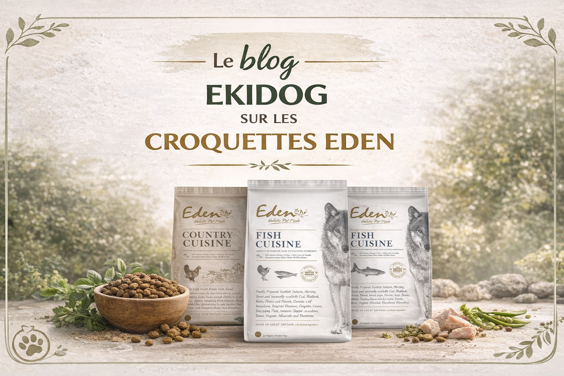 Croquettes Eden 80/20 Sans Céréales : L'Alimentation Naturelle Premium pour Votre Chien - EkiDog