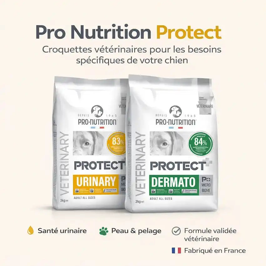 Croquettes Vétérinaires Pro Nutrition Protect : La Gamme Fonctionnelle pour la Santé de Votre Chien