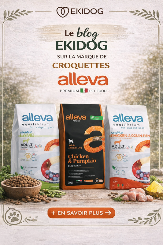 Croquettes Alleva : Guide Complet 2026 - Equilibrium & Natural pour Chiens - EkiDog
