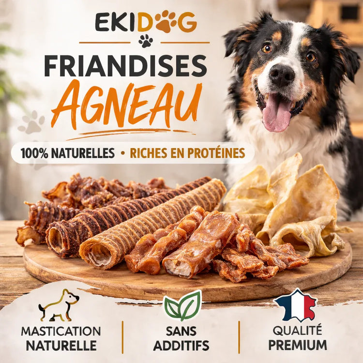 Friandises Agneau - Friandises Naturelles pour Chien - EkiDog