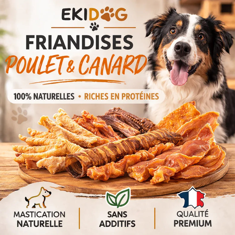 Friandises Poulet & Canard - Friandises Naturelles pour Chien - EkiDog