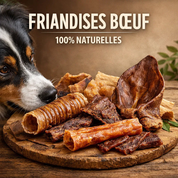 Friandises Bœuf - Friandises Naturelles pour Chien - EkiDog