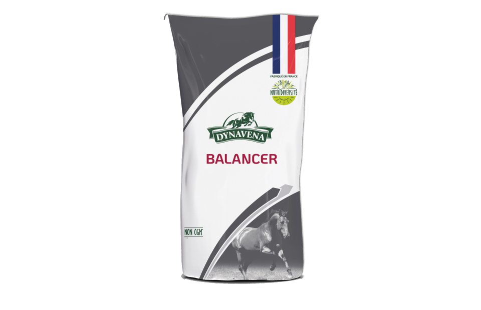 BALANCER 25KG
