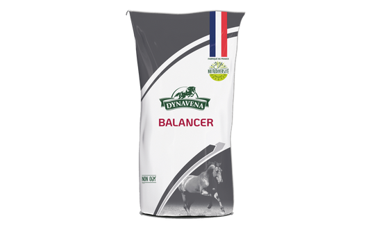 BALANCER 25KG