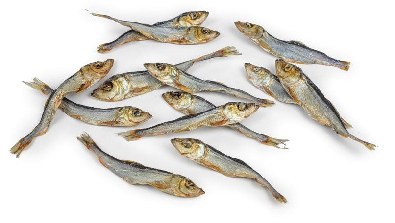 Harengs 100gr - Friandises Chiens