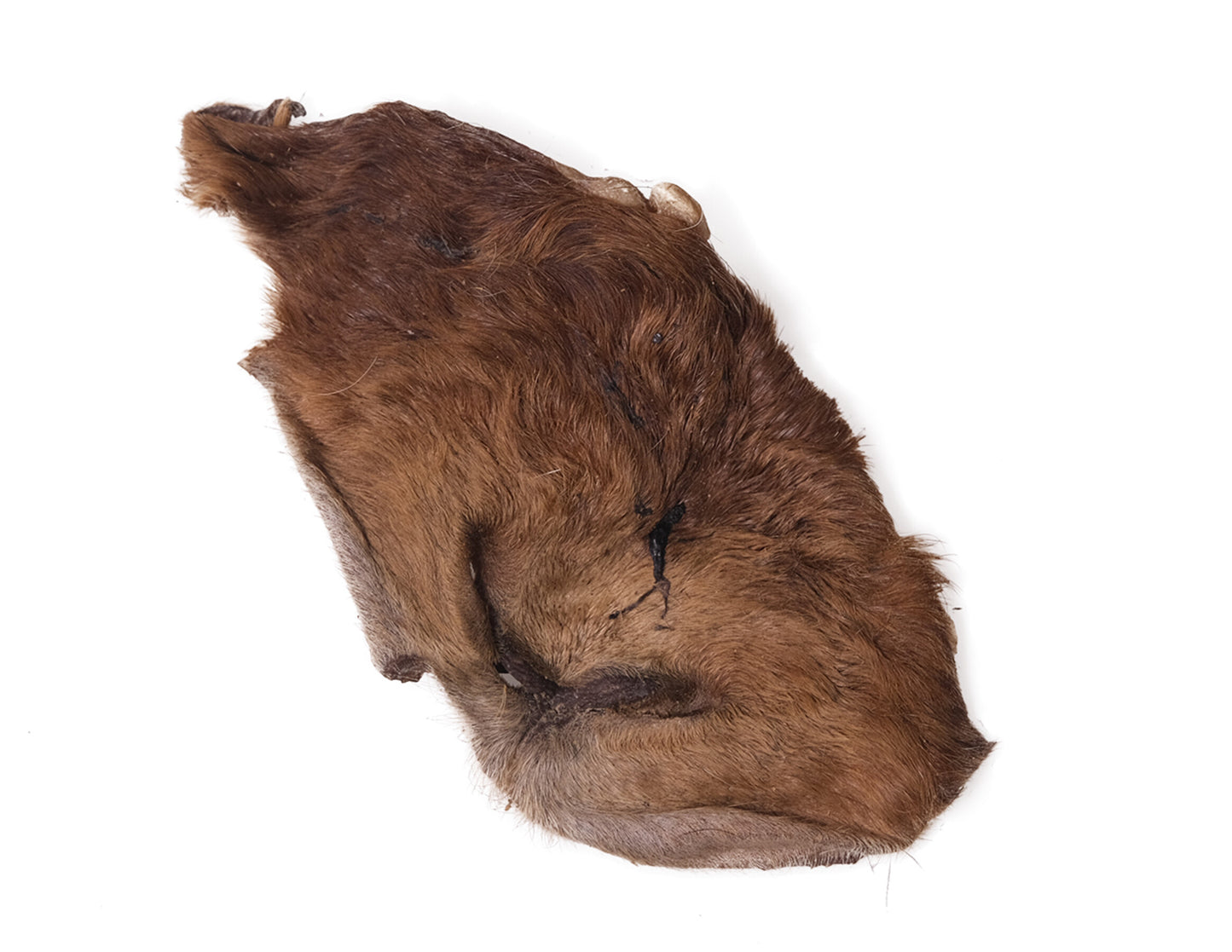 Museau d'agneau avec poil pour chien – Sachet de 3 pièces