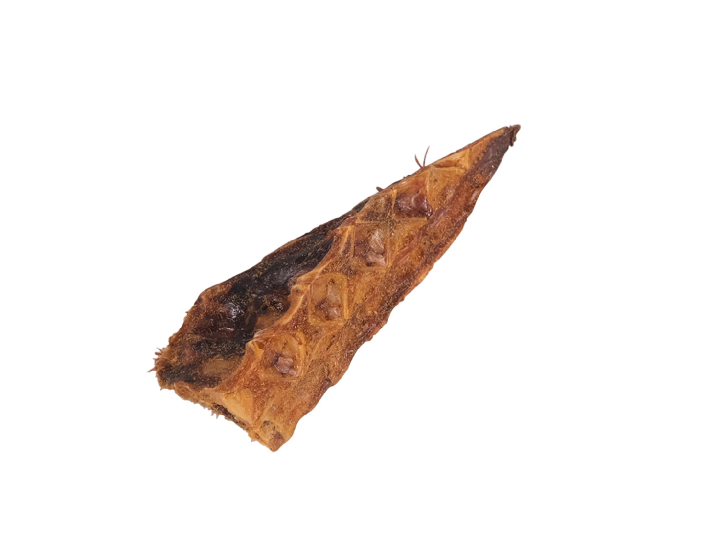 Os de Thon - Friandise Naturelle pour Chien