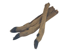 Patte de Chevreuil avec Poils - Friandise Naturelle pour Chien