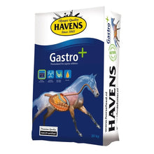 Havens Gastro+ 20 kg - Aliment Cheval Estomac Sensible & Ulcères