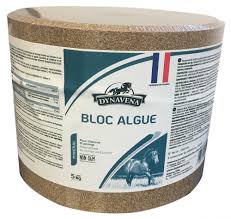 BLOC ALGUES